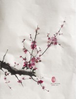 Plum blossom study 2