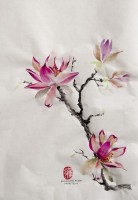Estudio de magnolia 1